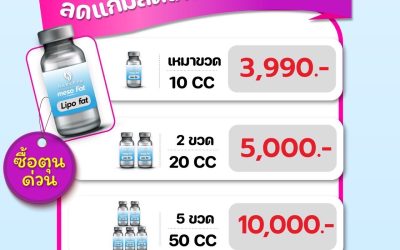 เมโสแฟต คืออะไร ? มาดูกันค่ะ